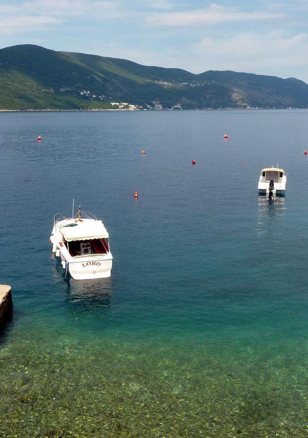 Rose - Apartmani Janovic Luštica Dış mekan fotoğraf
